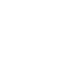 Protection Icon